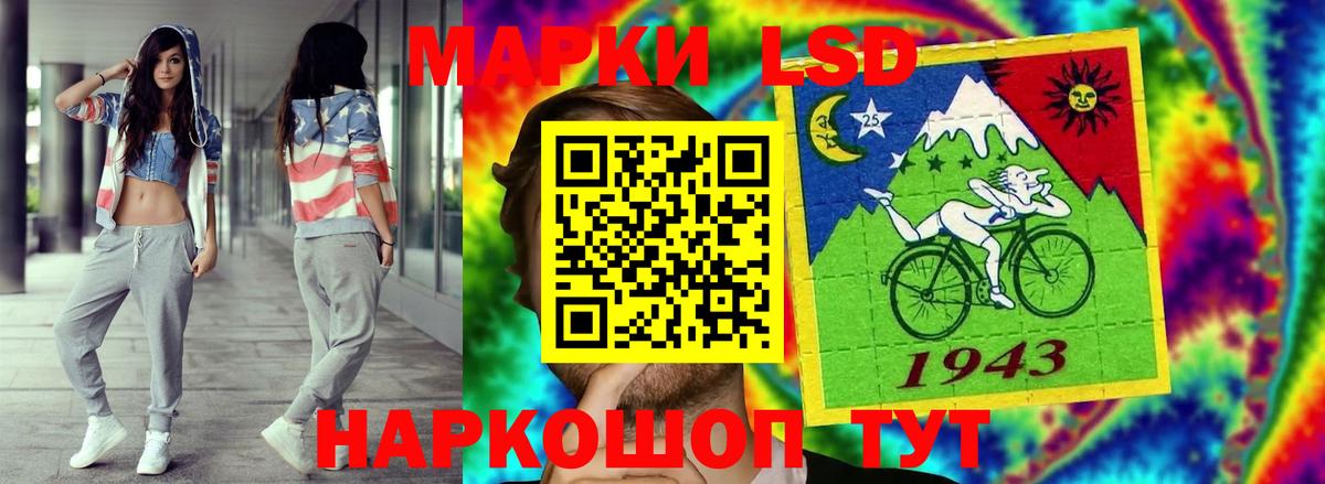 Бошки Шишки Кузнецк
