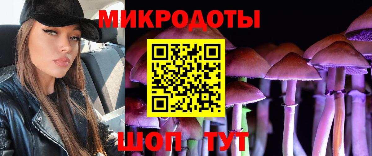 Кузнецк  Псилоцибиновые грибы мухоморы  сколько стоит  Вход с VPN  Псилоцибиновые грибы Psilocybe 